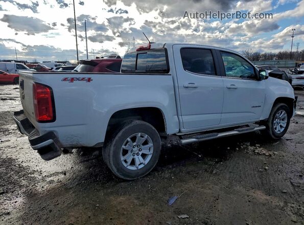 1GCGTCEN3L1218590 2020 CHEVROLET COLORADO White Trasero derecho