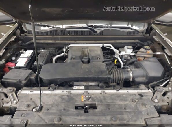 1GCPTEEK1R1123360 2024 CHEVROLET COLORADO Коричневый Вид сзади