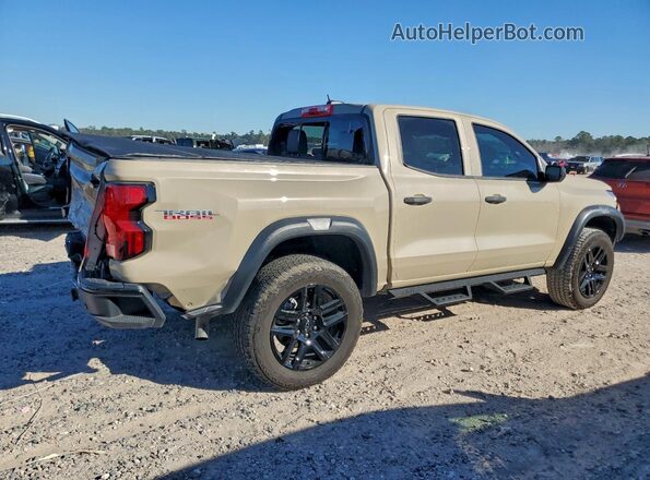 1GCPTEEK6R1125489 2024 CHEVROLET COLORADO Tan Tył prawy