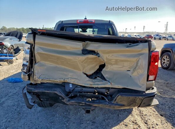 1GCPTEEK6R1125489 2024 CHEVROLET COLORADO Tan Widok z tyłu
