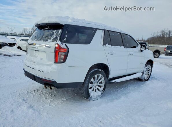 1GNSKSKD0PR217513 2023 CHEVROLET TAHOE White Tył prawy