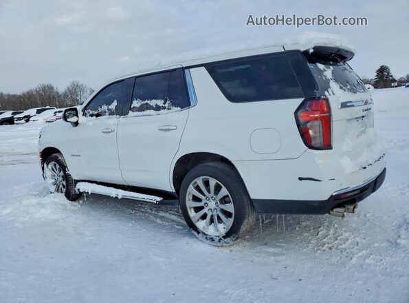1GNSKSKD0PR217513 2023 CHEVROLET TAHOE White Tył lewy