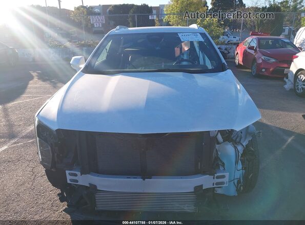 1GYAZAR42RF196386 2024 CADILLAC XT4 White Вид задньої частини салону