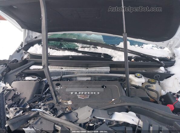 1GYFZDR49RF100387 2024 CADILLAC XT4 White Widok z tyłu