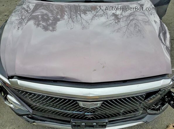 1GYKPRRL5RZ123687 2024 CADILLAC OTHER Серый 
