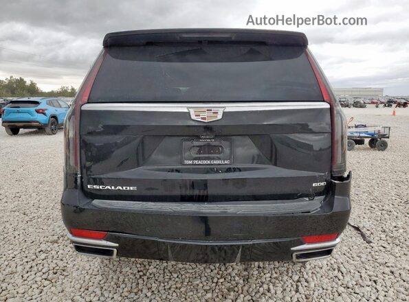 1GYS4CKL2RR312975 2024 CADILLAC ESCALADE Черный Вид сзади