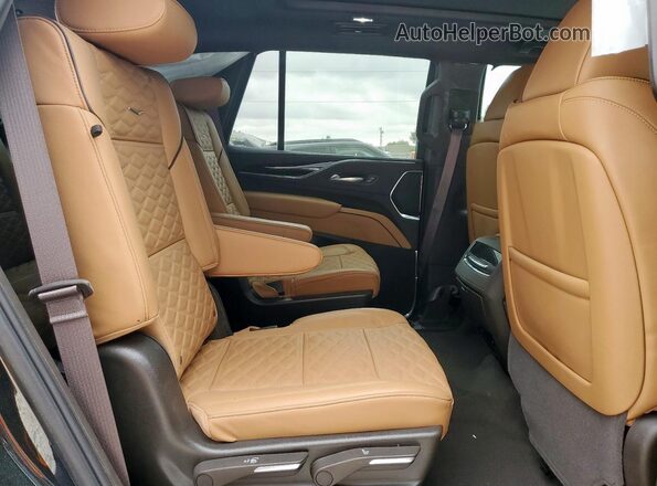 1GYS4CKL2RR312975 2024 CADILLAC ESCALADE Черный Вид задней части салона