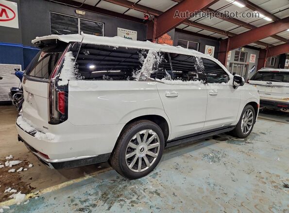 1GYS4DKL2MR232400 2021 CADILLAC ESCALADE Белый 