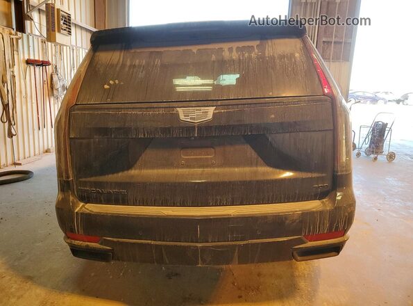 1GYS4FKL5MR368564 2021 CADILLAC ESCALADE Black Rear view