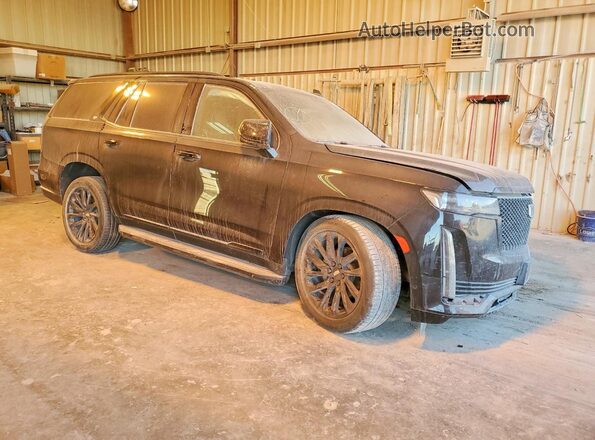 1GYS4FKL5MR368564 2021 CADILLAC ESCALADE Black Front right