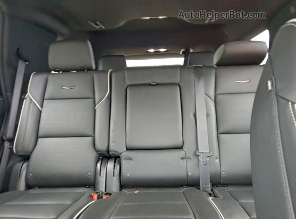 1GYS4FKL7PR287117 2023 CADILLAC ESCALADE Black უკანა სავარძლების ხედი