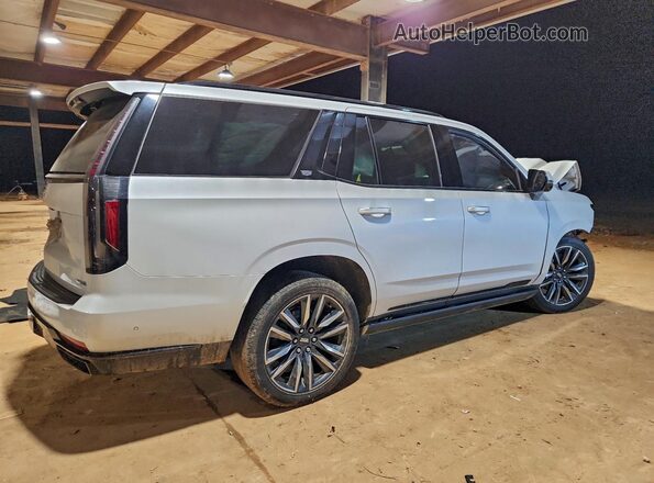 1GYS4GKL6MR200003 2021 CADILLAC ESCALADE Белый Задняя правая четверть
