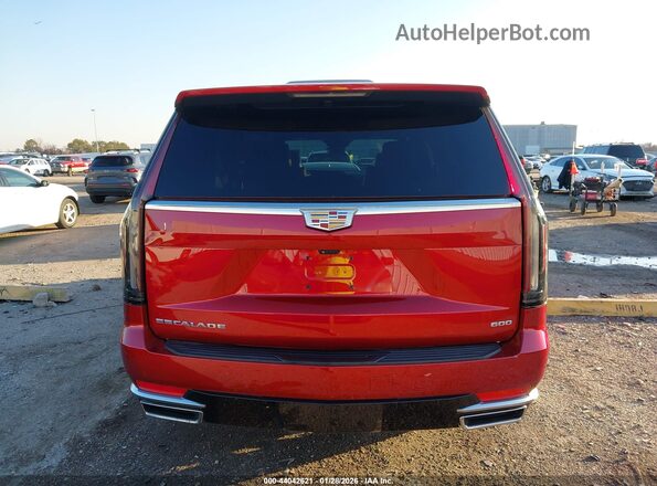 1GYS4LKL5RR296450 2024 CADILLAC ESCALADE Burgundy 