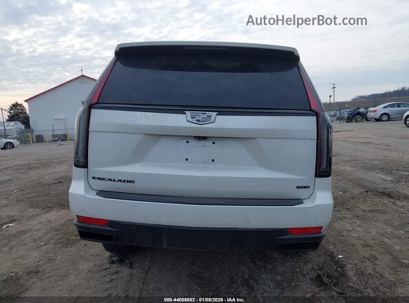1GYS4PKL5RR360669 2024 CADILLAC ESCALADE White 