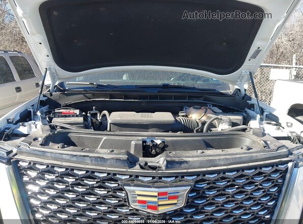 1GYS9BRL7SR258287 2025 CADILLAC ESCALADE Champagne Vista trasera