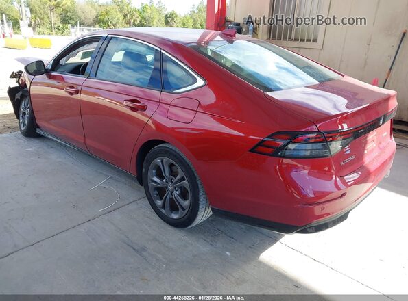 1HGCY2F61RA008369 2024 HONDA ACCORD Red Задня ліва чверть