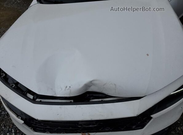 1HGCY2F7XPA022048 2023 HONDA ACCORD White 