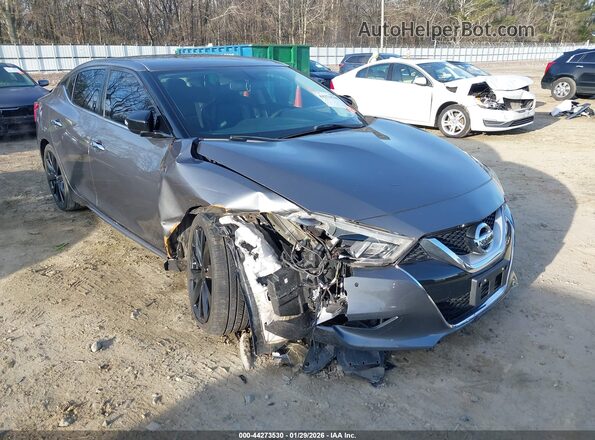 1N4AA6AP1HC429017 2017 NISSAN MAXIMA Серый Вид спереди