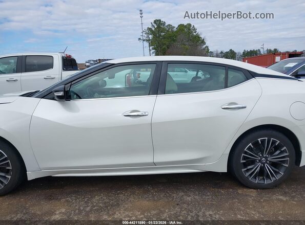 1N4AA6AP9GC414764 2016 NISSAN MAXIMA Белый 