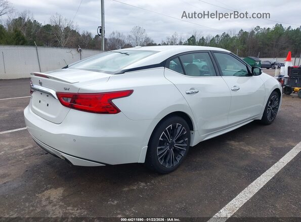 1N4AA6AP9GC414764 2016 NISSAN MAXIMA Белый 