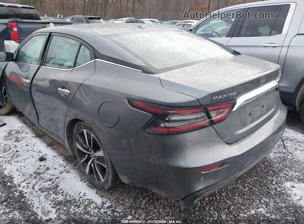 1N4AA6CV2PC511459 2023 NISSAN MAXIMA Серый Задняя левая четверть