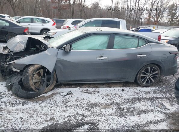 1N4AA6CV2PC511459 2023 NISSAN MAXIMA Серый Вид задней части салона