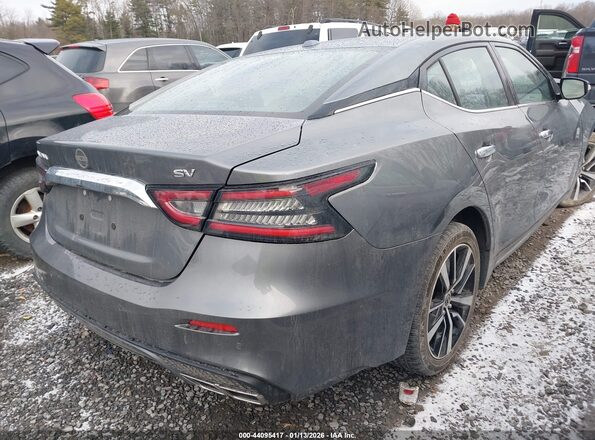 1N4AA6CV2PC511459 2023 NISSAN MAXIMA Серый Задняя правая четверть
