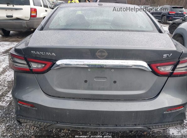 1N4AA6CV2PC511459 2023 NISSAN MAXIMA Серый 