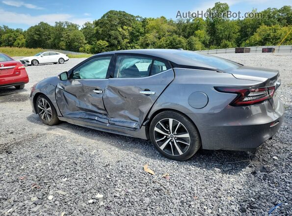 1N4AA6CV5PC509902 2023 NISSAN MAXIMA Gray Rear left