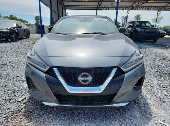 1N4AA6CV5PC509902 2023 NISSAN MAXIMA Gray Front view