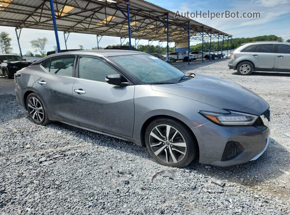 1N4AA6CV5PC509902 2023 NISSAN MAXIMA Gray Front right