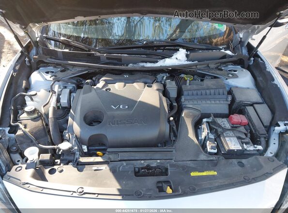 1N4AA6CV5PC511309 2023 NISSAN MAXIMA Silver 