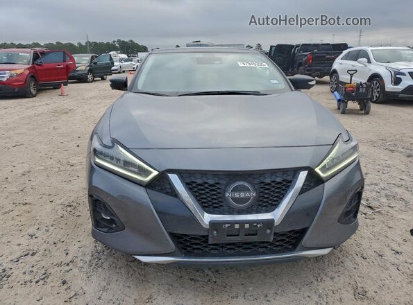 1N4AA6FV1PC501047 2023 NISSAN MAXIMA PLATINUM Серый Вид спереди
