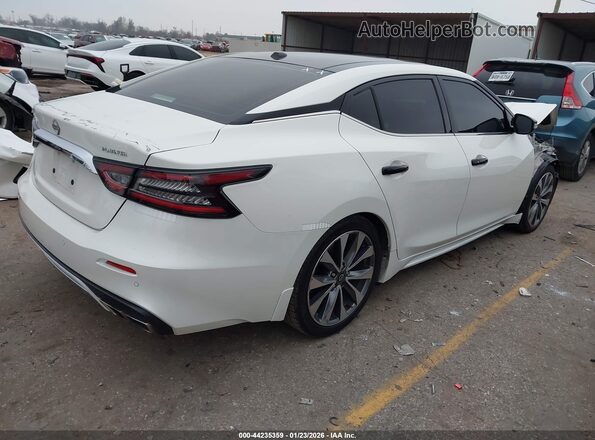1N4AA6FV6PC501299 2023 NISSAN MAXIMA PLATINUM White Հետևի աջ