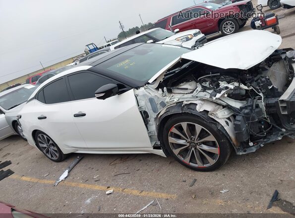 1N4AA6FV6PC501299 2023 NISSAN MAXIMA PLATINUM White Սալոնի հետևի տեսք