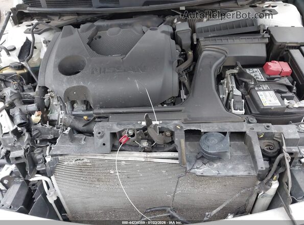1N4AA6FV6PC501299 2023 NISSAN MAXIMA PLATINUM White Հետևի տեսք