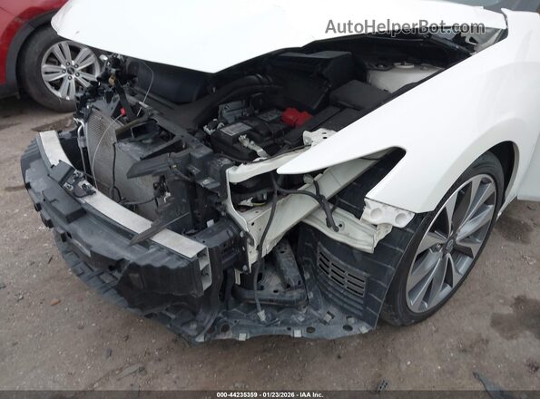 1N4AA6FV6PC501299 2023 NISSAN MAXIMA PLATINUM White Դիմացի տեսք