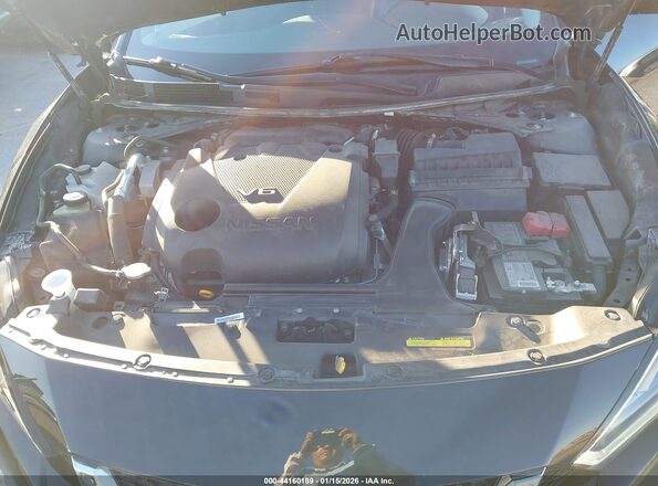 1N4AA6FVXPC501323 2023 NISSAN MAXIMA PLATINUM Черный Вид сзади