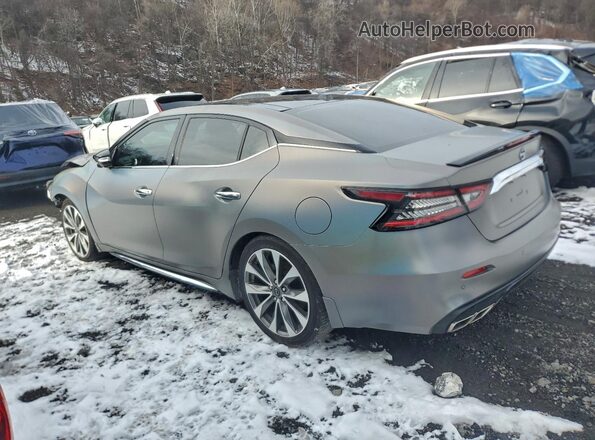 1N4AA6FVXPC511897 2023 NISSAN MAXIMA PLATINUM Gray Rear left