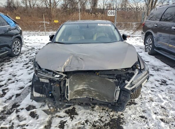 1N4AA6FVXPC511897 2023 NISSAN MAXIMA PLATINUM Gray Front view