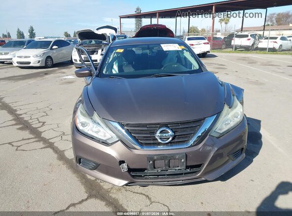 1N4AL3APXGC177663 2016 NISSAN ALTIMA Brown Սալոնի հետևի տեսք