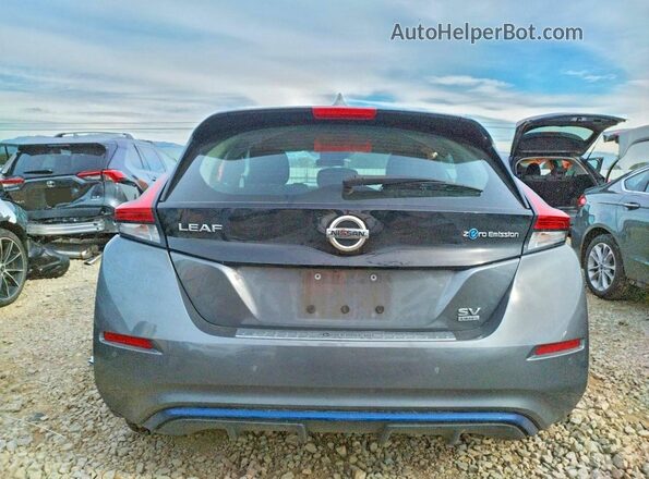 1N4BZ1CP5LC300669 2020 NISSAN LEAF Gray Widok z tyłu