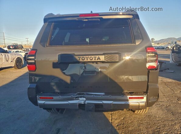 JTEVA5BR9S5055544 2025 TOYOTA 4RUNNER Серый 
