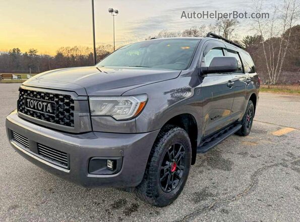 5TDEY5B10MS182254 2021 TOYOTA SEQUOIA Gray უკანა მარჯვენა
