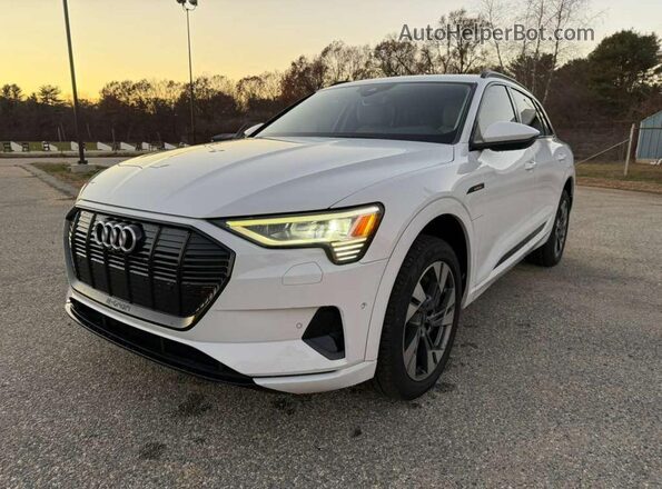 WA1AAAGE8MB010286 2021 AUDI E-TRON White Tył lewy