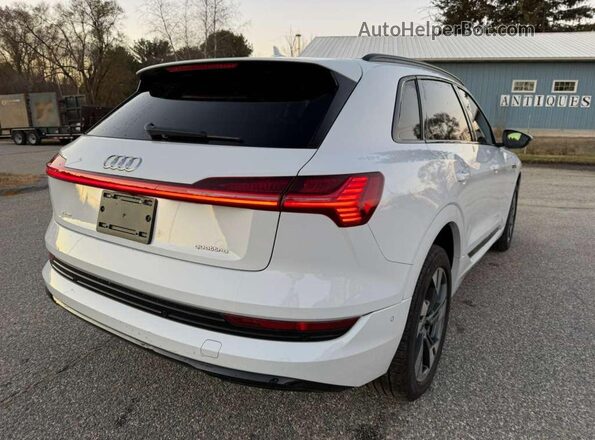 WA1AAAGE8MB010286 2021 AUDI E-TRON White Widok z przodu