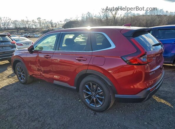 2HKRS4H7XTH419491 2026 HONDA CRV Красный 