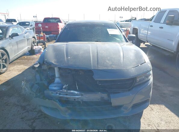 2C3CDXBG9HH584009 2017 DODGE CHARGER Gray 
