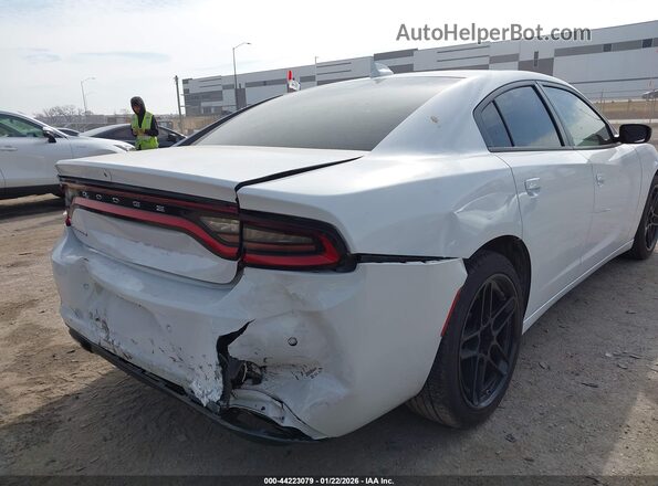 2C3CDXBG9PH674520 2023 DODGE CHARGER Белый Вид спереди