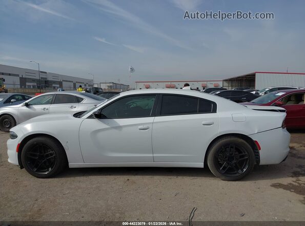 2C3CDXBG9PH674520 2023 DODGE CHARGER Белый Вид задней части салона